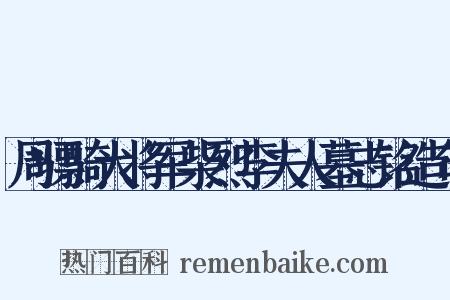 周骠骑大将军柴烈李夫人墓志铭造句是什么意思的图片